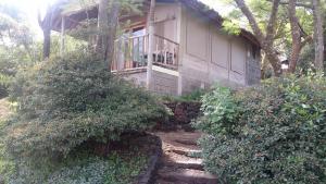纳库鲁麦莉沙巴山林小屋的一座带窗户和灌木的房子