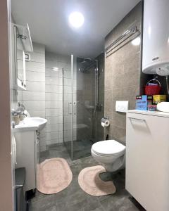 克拉多沃Danubiana Apartments的带淋浴、卫生间和盥洗盆的浴室