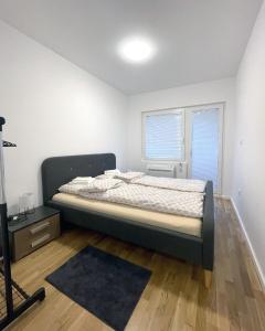 克拉多沃Danubiana Apartments的一间卧室设有一张床和一个窗口