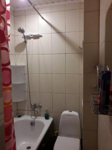 陶格夫匹尔斯Vienibas 38a的一间带卫生间和水槽的小浴室