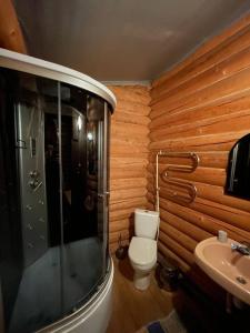 卢姆绍里Садиба у Попа的一间带卫生间和水槽的浴室