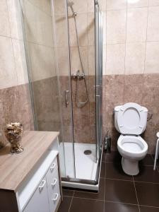 萨里亚Cuatro Caminos的一间带卫生间和玻璃淋浴间的浴室