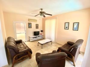 阿依纳帕Villa Lola的客厅配有真皮座椅和电视