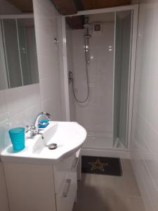圣特罗佩Villa Playa del Sol -B6的白色的浴室设有水槽和淋浴。