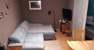 瓦拉日丁Apartman TIN的带沙发和电视的客厅