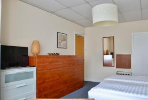斯海弗宁恩德斯特恩酒店的一间卧室配有一张床和一台平面电视