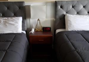 怀特霍斯Elite Hotel "Downtown Center" " Ski & Northern light Tour"的一间卧室配有两张床和一个带灯的床头柜