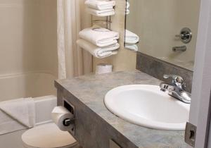 怀特霍斯Elite Hotel "Downtown Center" " Ski & Northern light Tour"的浴室配有盥洗盆、卫生间和浴缸。
