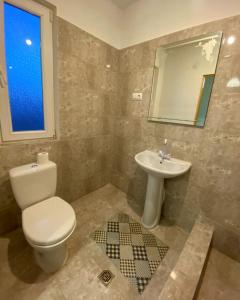 奥恰姆奇拉Guest house Amza的一间带卫生间和水槽的浴室