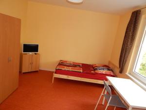 多特蒙德朋友之家 - 城市 - 祖豪泽北富润登宾馆的一间小卧室,配有一张床和电视