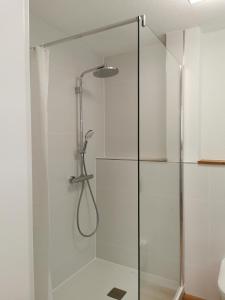 米森-维尔哈姆斯Allgäuer Ausblick的浴室里设有玻璃门淋浴