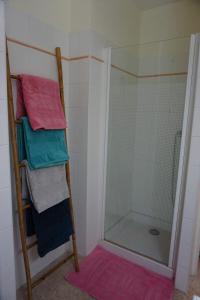 圣弗洛朗Joli T3 familial proche de la mer的淋浴、四条毛巾和玻璃淋浴间门