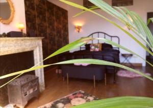 那慕尔Retro Parisian Apartment - Spacious 75m2 and fully equipped - Fabulous location IN city center的一间带床和植物的客厅