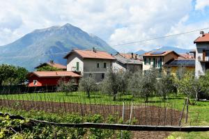 佩尔莱多Agriturismo Conca Sandra - Farm Stay on Lake Como的相册照片