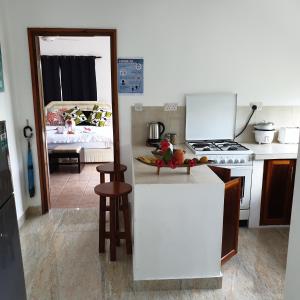 塔卡马卡Chalets Des Vacances的带冰箱的厨房和配有床的厨房