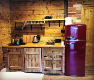 米奇科夫采Dusza Chata w Bieszczadach的厨房设有红色冰箱和木墙