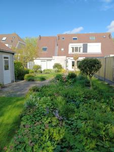 栋堡Garden cottage Domburg的庭院里种满鲜花和植物的花园