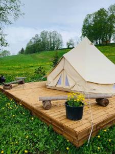 奥泰佩Murimäe Winery glamping的木甲板上的帐篷,带一盆鲜花