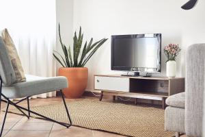 布尔高Casas Sul的客厅配有电视、椅子和植物