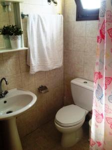 波利克罗诺Villa Maria的浴室配有白色卫生间和盥洗盆。