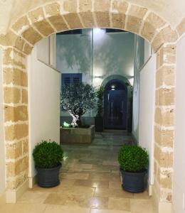 塔兰托Satyria Apartments的走廊上两盆植物的拱门
