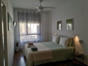 奥利瓦Comfortable Apartment with AirCo - Isaola Oliva的相册照片