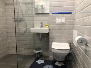 哈普萨卢Apelsini apartment的浴室配有卫生间、盥洗盆和淋浴。