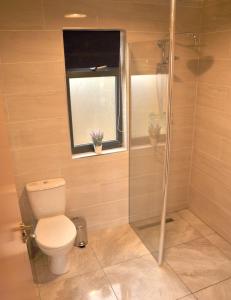 格林卡斯尔FOYLE VIEW CABIN的一间带卫生间、窗户和淋浴的浴室
