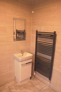 格林卡斯尔FOYLE VIEW CABIN的一间带水槽和镜子的浴室