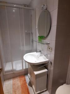 泰尔拉诺Georg Barbieri "Bindergor-Hof"的浴室配有盥洗盆和带镜子的淋浴