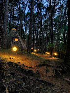 MombeltránGlamping The Teepee的夜间森林中的一个帐篷