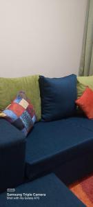 奈瓦沙Annettes Place的蓝色的沙发,上面有色彩缤纷的枕头