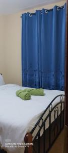 奈瓦沙Annettes Place的床上有蓝色窗帘
