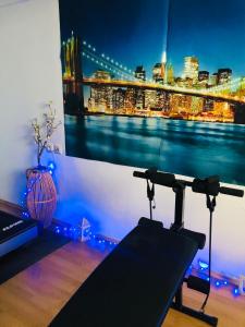 Kato RodiniHotel Rodini的享有布鲁克林大桥景色的健身房