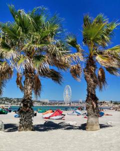 马赛Appartement Plage Prado/Vélodrome的两棵棕榈树,在海滩上,背面有摩天轮