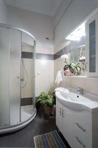 里科索翁Lucas Apartment的一间带水槽和玻璃淋浴的浴室
