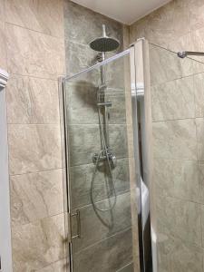 雷迪奇De Regency Style Hotel的浴室里设有玻璃门淋浴