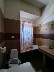 卡米拉日Anemi的浴室配有淋浴帘、卫生间和盥洗盆。