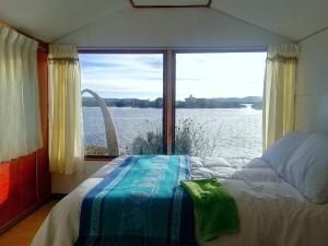 普诺Room in Lodge - Lucsay Titicaca Lodge的一间卧室配有一张床,享有水景