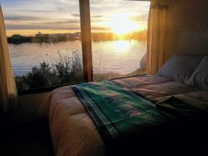 普诺Room in Lodge - Lucsay Titicaca Lodge的一间卧室设有湖景窗户