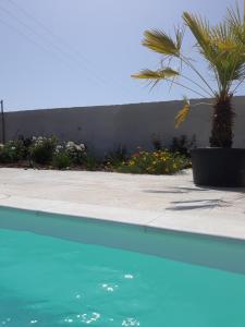 AnchéFerme du bois de Veude的蓝色的游泳池,后面有棕榈树