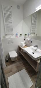 里沃VOJCAR Apartments的一间带水槽、卫生间和镜子的浴室