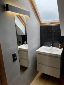 波兹南Śródka Boutique Hotel的一间带水槽和镜子的浴室