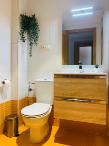 费莱乔萨Apartamento Rio San Isidro 2的一间带卫生间、水槽和镜子的浴室