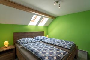 米库洛夫Saeli Apartments的一间卧室配有一张带绿色墙壁和天窗的床。