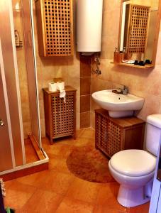 帕莫瑞STUDIO - SOLNA POMORIE的一间带水槽、卫生间和淋浴的浴室