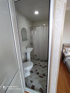 西格纳吉GUEST HOUSE DAVID的一间带卫生间和水槽的浴室