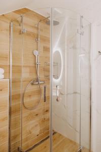 上鲁日巴希SKRI Villa Ružbachy的浴室里设有玻璃门淋浴