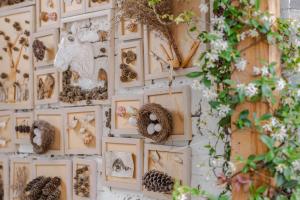丽江丽江白沙火烈鸟主题客栈的墙上挂满了动物和巢的图片