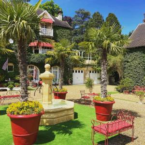 尚蒂伊Manoir des Cavaliers - BnB的庭院设有棕榈树和长凳的喷泉